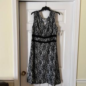 Black & Gray Rose Lace Dress